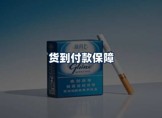 专业团队办公环境